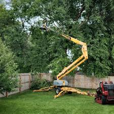 Collins, MS Tree Services Company